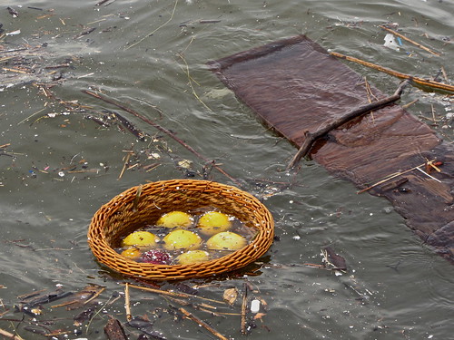 fruit basket in the river