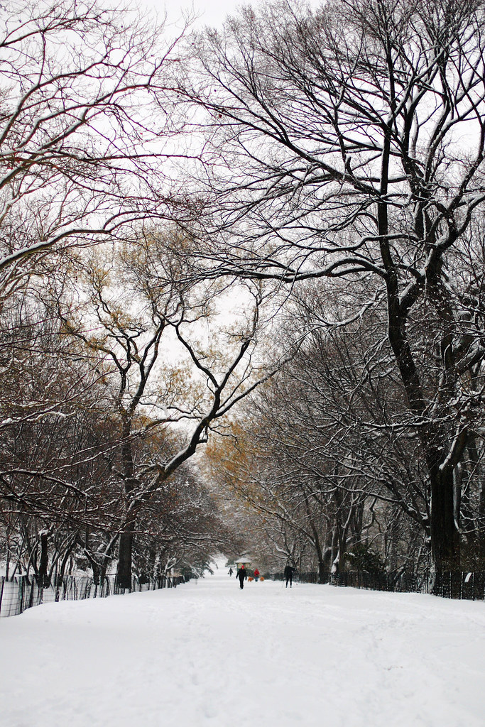 neve no Central Park