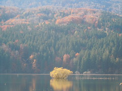 Cerkniško jezero in Autumn