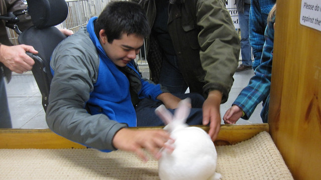 Jon's petting a white rabbit
