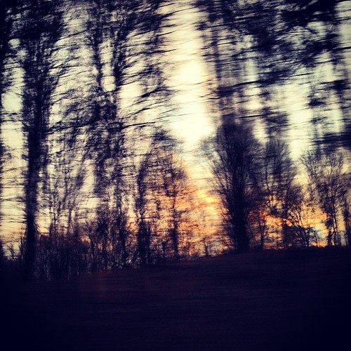 Sunset thru the trees