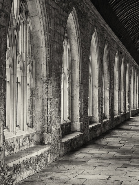 The Cloisters of Chichester Cathedral
