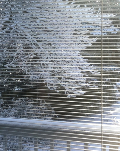 Snow Scene Through Window Blinds by randubnick