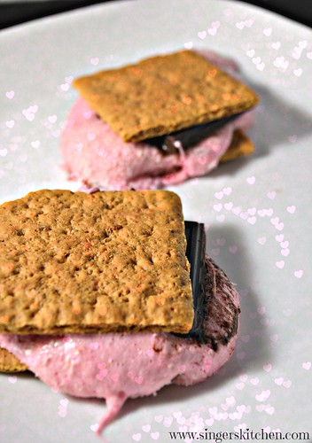 Raspberry Coconut and Dark Chocolate S'mores melted