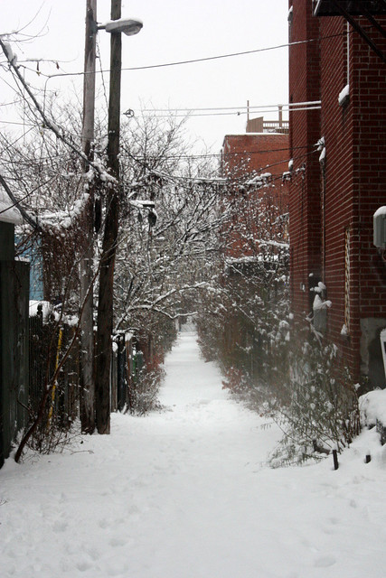 Snow in Montreal