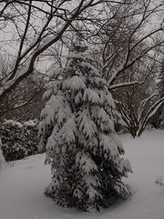 2012-12-27 Snow in Ottawa