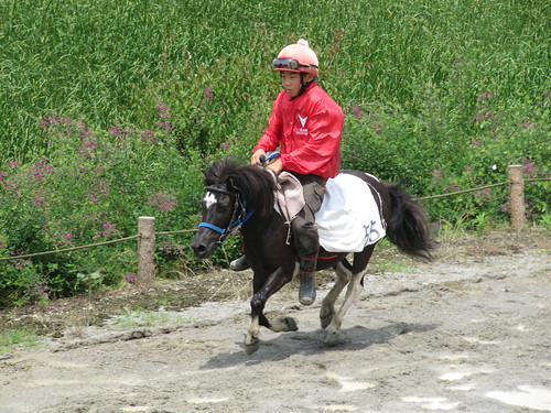 Tado Horse racing　多度草競馬