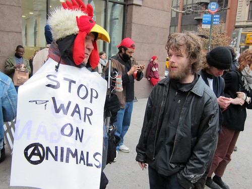 Free Cooper Union, Pots and Pans March and Student Faculty Rally: Stop War On Animals