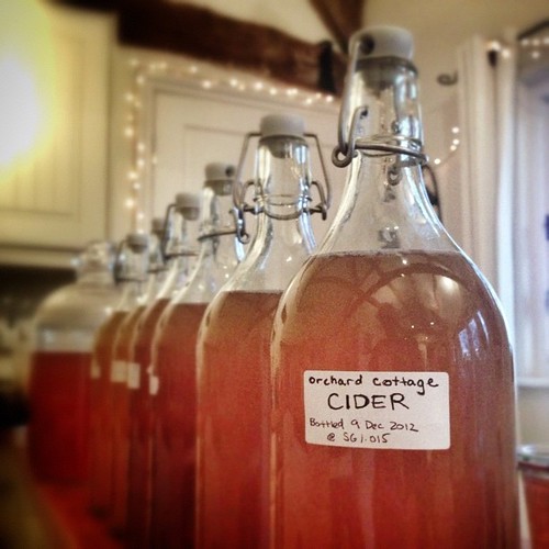 Recovering from the weekend by attending to other boozy necessities: cider bottling!