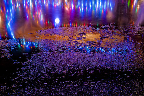 Stanley Park Lights by petetaylor