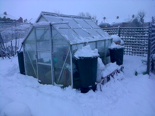 Greenhouse in snow Jan 13