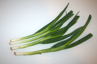 08 - Zutat Frühlingszwiebeln / Ingredient spring onions