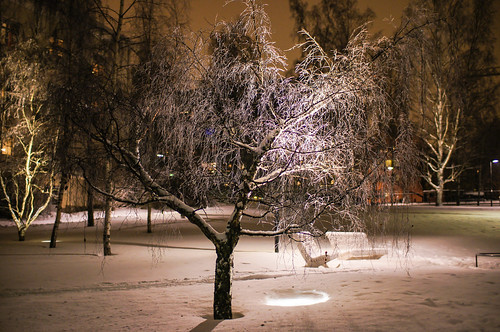 Park view with snow