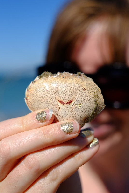 Smiley crab