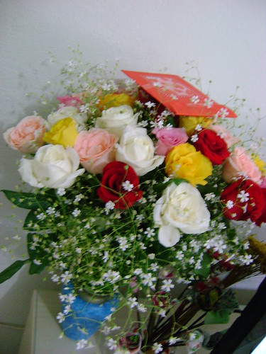 Minhas rosas niver 10-03 by Paninh♥s em forma de am♥r