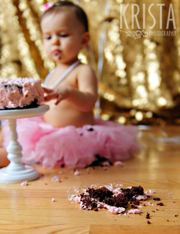 First Birthday Party Session