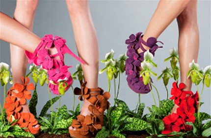 Orchid Shoe by Jan Jansen