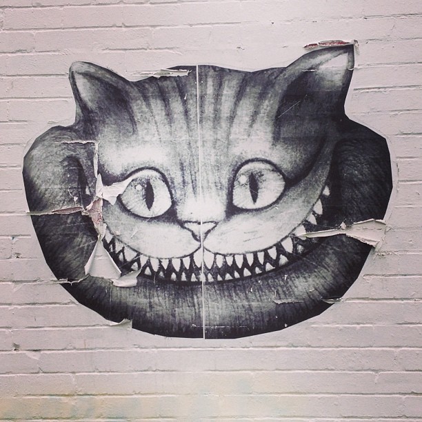 Cheshire grin