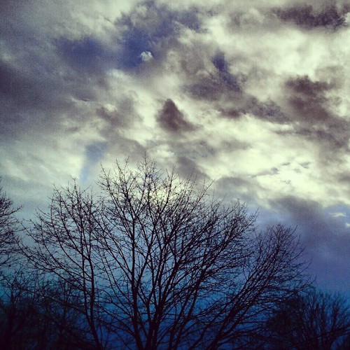 #morning #sky #newhampshire #stormy #tree #clouds