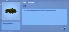 Just Juniper