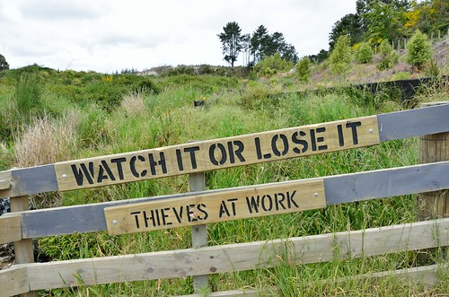Watch it or lose it -  thieves at work. by kewl