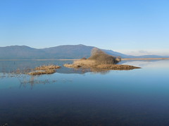 Cerkniško jezero in winter