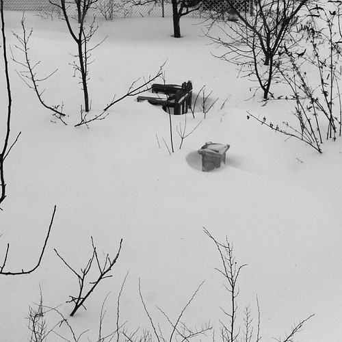 the garden is buried in snow #nemo #oldorchardbeach #maine #weatherreport