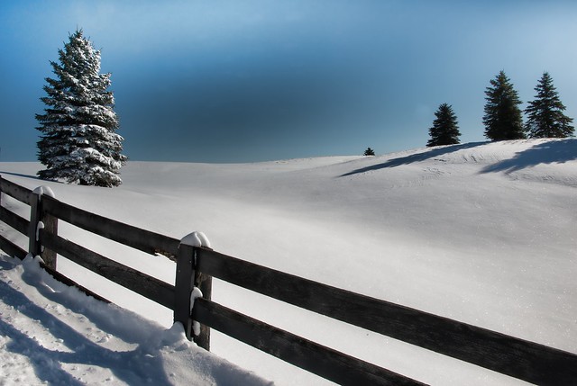 Fence and Snow in Caledon Ontario
