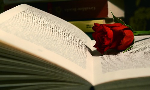 books and roses by red-photo