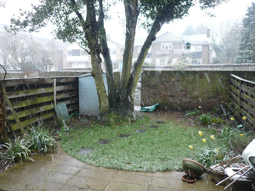 snowfront garden 23 March 2013
