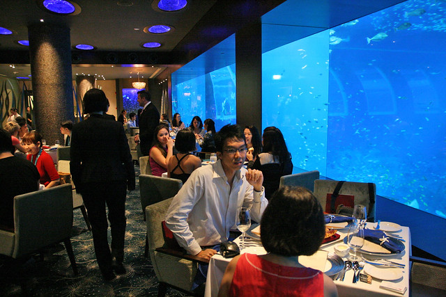 One side of the restaurant gives you a magnificent oceanarium view
