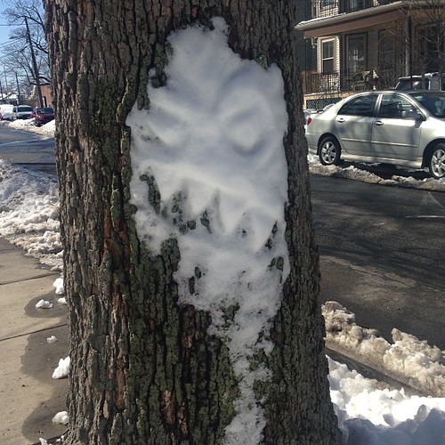The abominable snow...face? Tree man? I don't know.