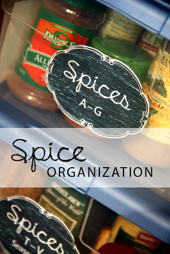 Spice-Organization
