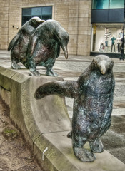 Dundee Penguins