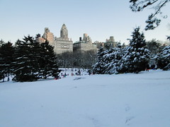 Central Park, NYC 