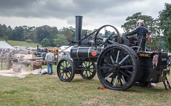 Bedford steam and country fayre 2016