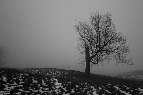 Fog 1 by Wifihighfive