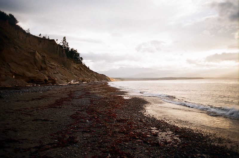dungeness spit