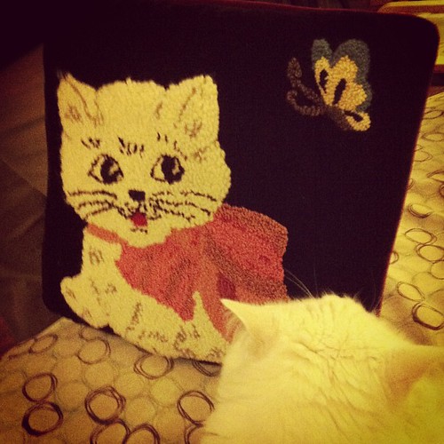 This pillow was into package from my pen pal! Nilla loves it!