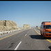 Our Orange Camel on Coastal Highway