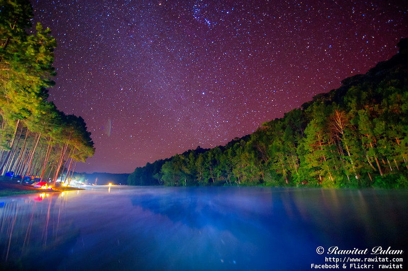 Misty Lake in Starry Night