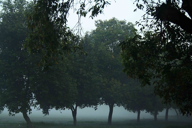 City Season – The Last Mist, India Gate