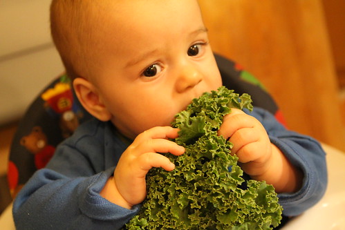 Elliott Trying Kale