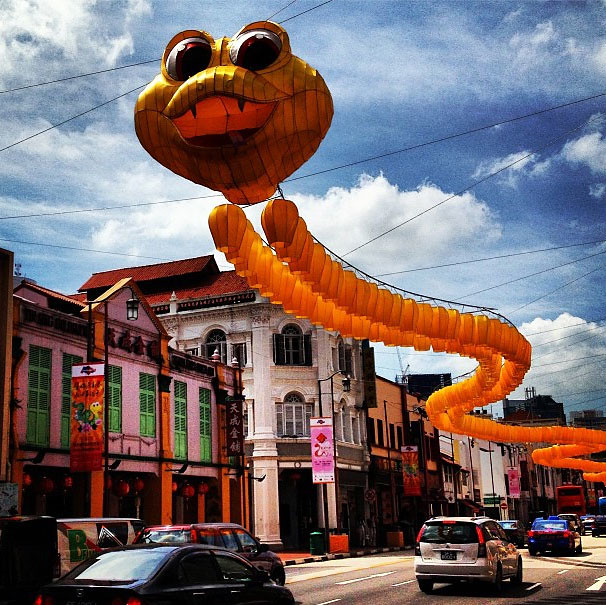 The cute, yet silly-looking snake at Chinatown in Singapore 