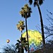 Balloon Through The Palms