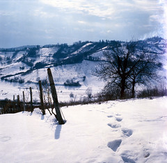 Through the countryside under snow, December 2011.