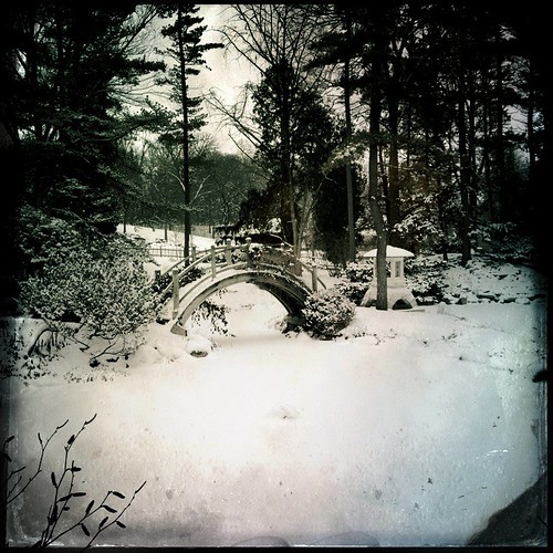 Winter Quiet by William 74