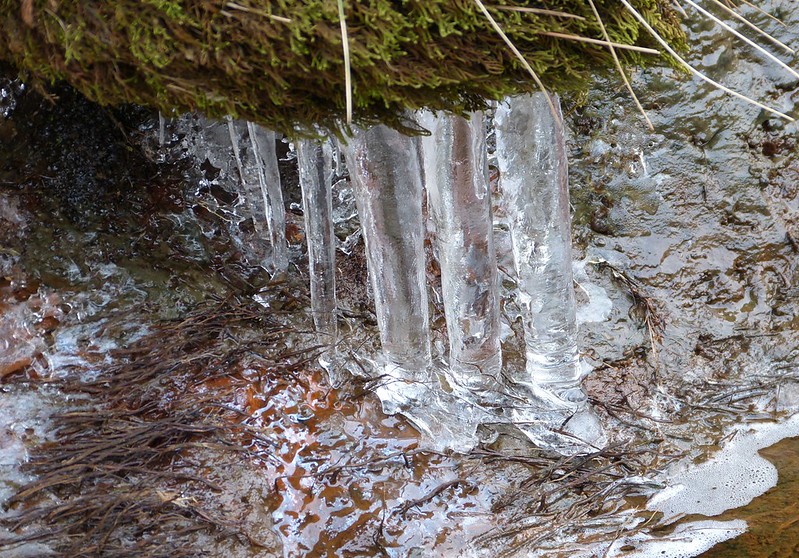 29303 - Icicles, Lliw valley
