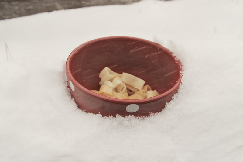 bowl-pasta-in-snow