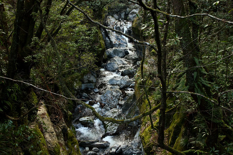 Nakatsu Valley Stream